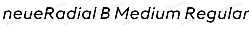neueRadial B Medium Regular字体转换